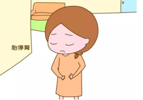 南京试管助孕公司：双侧输卵管切除后不能自然受孕，附两种辅助生育的方式