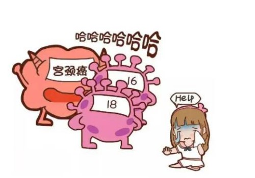卵泡质量不好的女性做试管选择什么促排方式成功率更高呢？