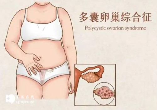 南京试管助孕价格：2023温岭中医院试管婴儿科普知识导航，一文了解助孕成功率多少